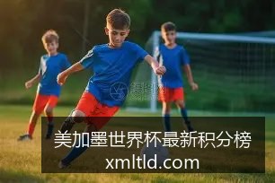 阿根廷队逆,转法国队,世界杯决赛,美加墨世界杯最新积分榜官网,美加墨世界杯积分榜,2026世界杯实时数据,美加墨赛况更新,足球赛事分析